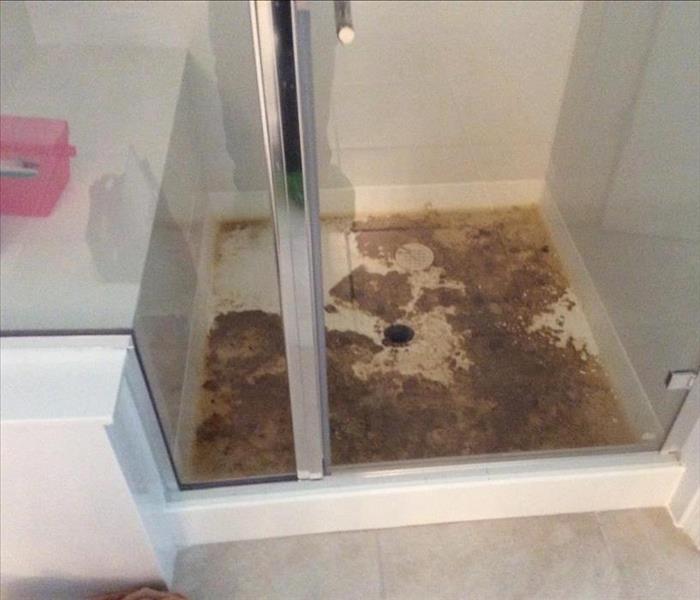 shower with sewage